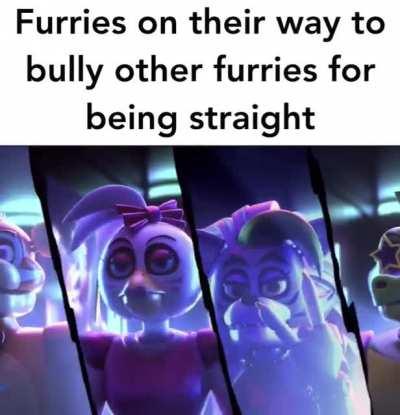 Furry_irl
