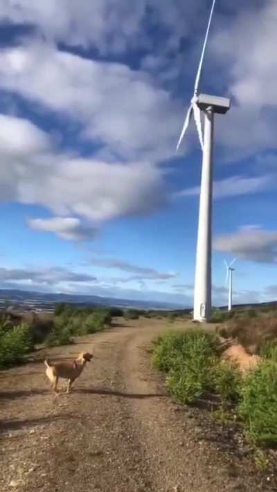 I can do that.😅🤗