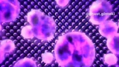 Kira Yoshikage do be cultured doe