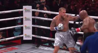 This is just embarrassing at this point. Paul vs. Tyson.