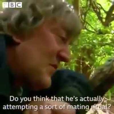 Watch a Wildlife Photographer Die Inside