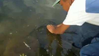 This is the best video ever