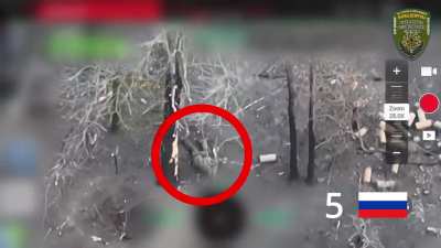 Russian assault was repelled, with all 9 attackers hunted down by  110 OMBR Battalion