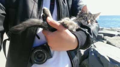 I found in the beach - So i took him home 😻😻