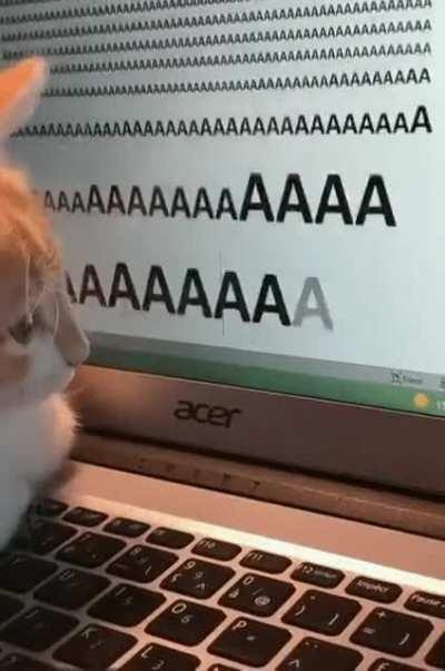 How inside of my head feels