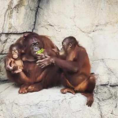 Get outta here. Nothing more for you.