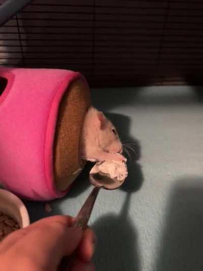 Beware of Pancake the devourer