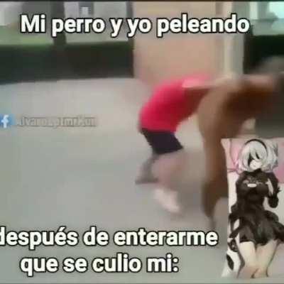 Si alguien se coge mi almohada debo ser yo