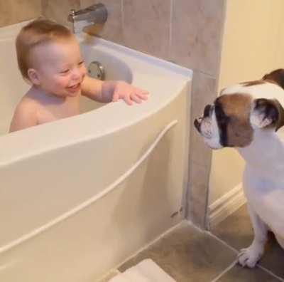 He’s long gone but was the best protector :*)