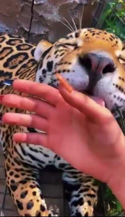 Scheint wohl zu schmecken 😋