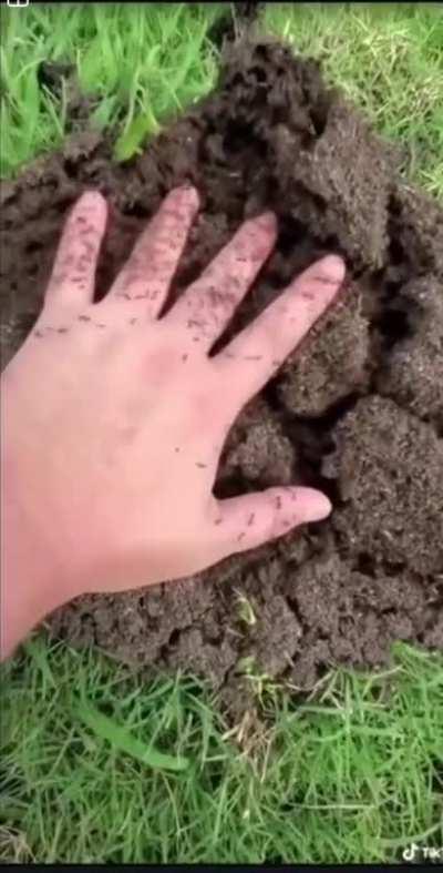 Ощущаешь это?