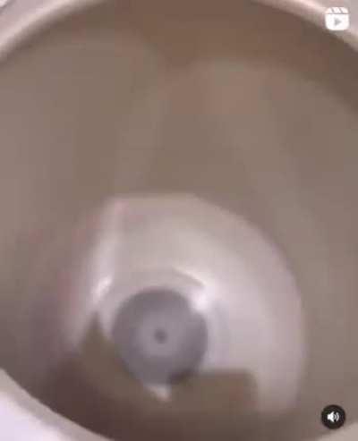 Mario goes nyoooooom