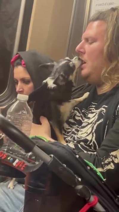 Who needs a toothbrush?