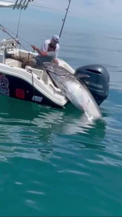 Thatâs gigantic!