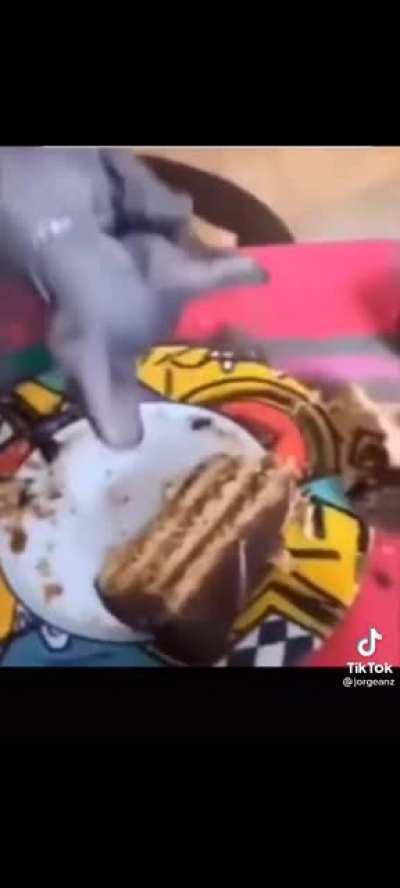 Se comió el pastel jaja