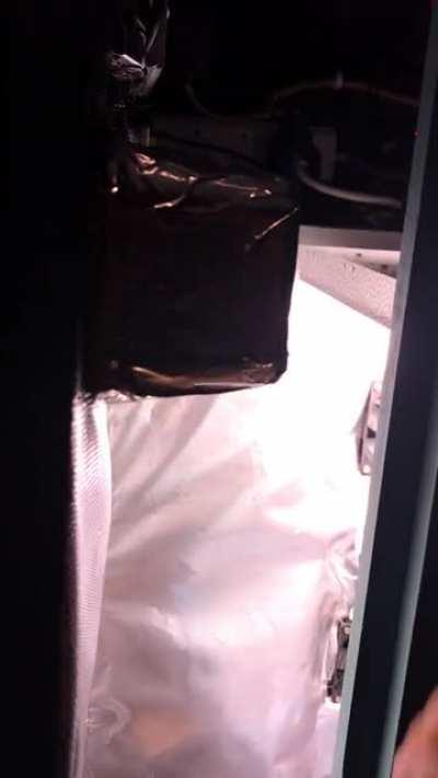 Grow cabinet up and running!