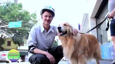 CAMPANHA DE UM CANDIDATO PERIGOSO - ADOLFO BORGES