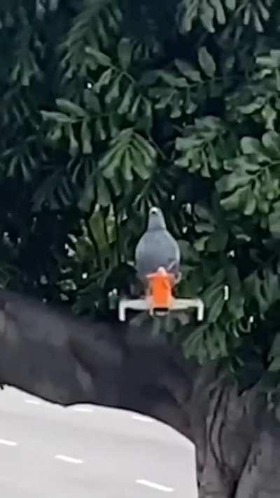 New technologies for a better future...