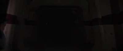 A New Hope for Bear Gayng 🌈