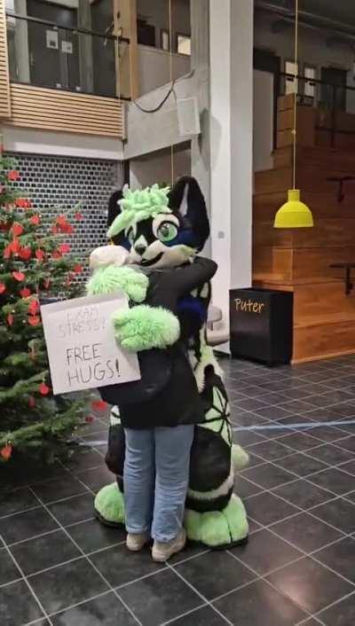 Furry_irl