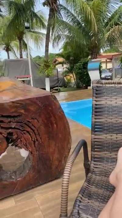 Zoomies right into the pool!