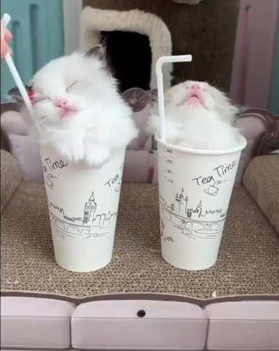 Два чая, пожалуйста!