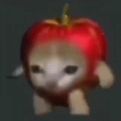 apple cat