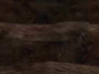 walter likes using agi and dying to minotaur