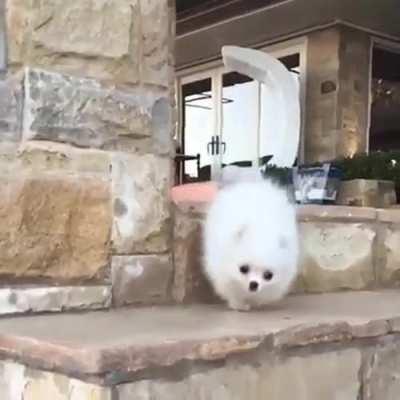 Watch the last step, it's a doozy!