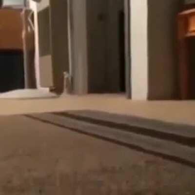 Kiryu Chan (not mine)