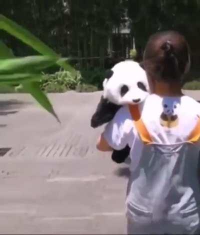 pAnDa MaULs wOmaN tO dEaTh AnD tHrEaTeNs MaN bEhInD hEr WhO iS tReMbLiNg WiTh FeAr