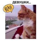 Ты что обиделась?