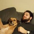 We are just gonna put that back right here