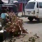 When you hit the weed but that mf hit back