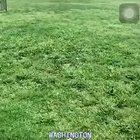 Any thoughts on this fellas? This dude can’t be human. He’s not showing any signs of pain