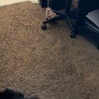 Here’s my baby throwing back, oops I mean scratching his butt😉