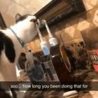 Compete lack of personal space... but, impeccable hygiene.