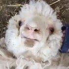 Stop yelling at me!!