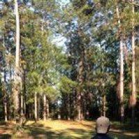 Gotta love disc golf.