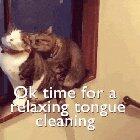 Trying to love Ya!!!