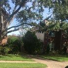 Cat calling this cutie