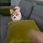 You don’t disrespect Joey