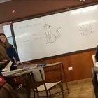 Okay. Who draw the cat ?