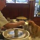 Someone's going to be an artist when they grow up