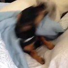 What it's like having an older sibling