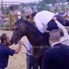 F for the horse because if you know you know