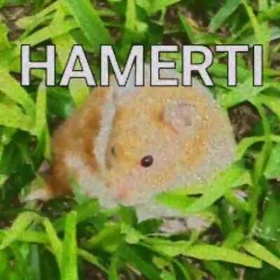 Hamerti