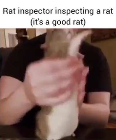 Svsnxjgcecdnbcaxswhhauv