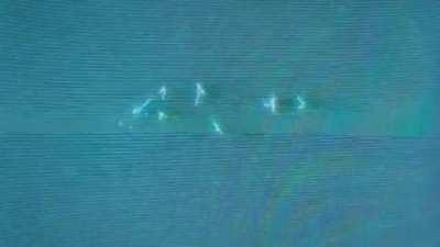 need to know if the song in this video is a carti track