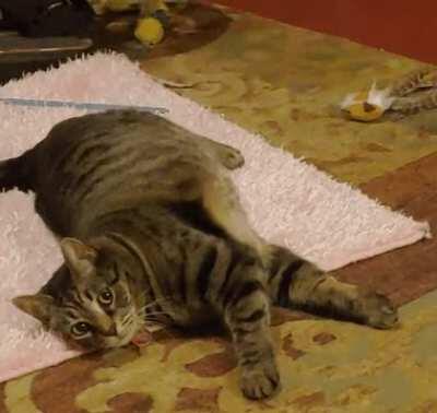 She turns 10 this week, still crazier than ever